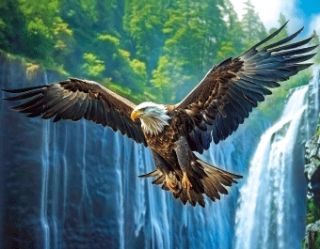 Obrázek z Magnet 3D 7x9cm - orel bělohlavý (25) 